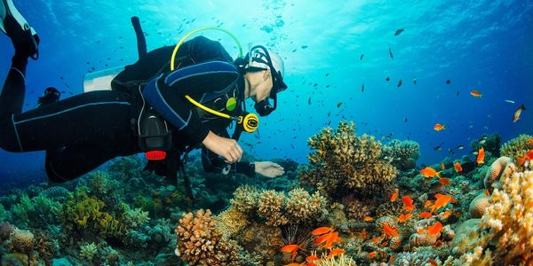 Diving