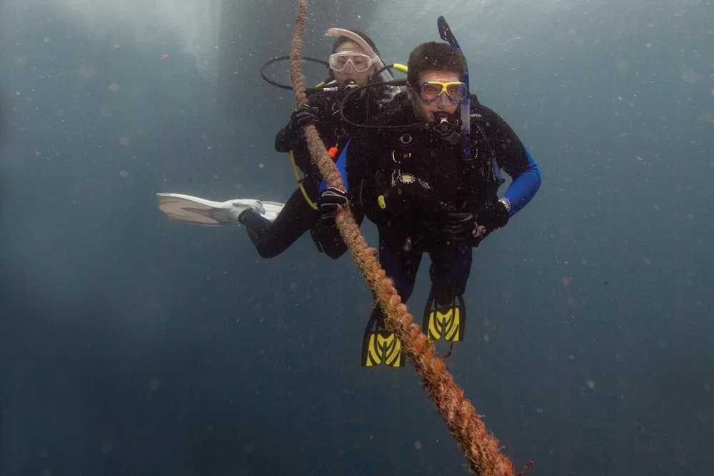 The Dive Company 2