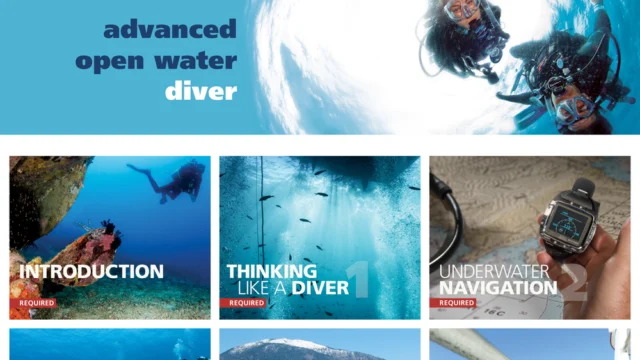 The Dive Company AOW 1