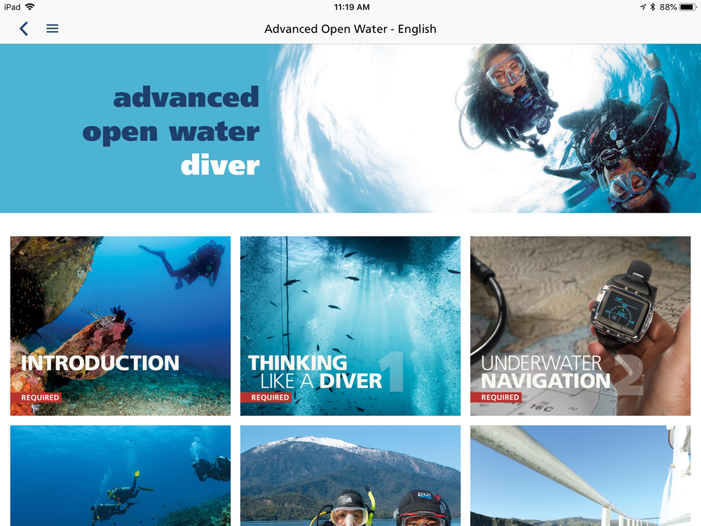The Dive Company AOW 1