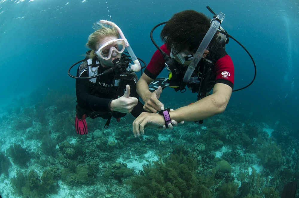 The Dive Company AOW