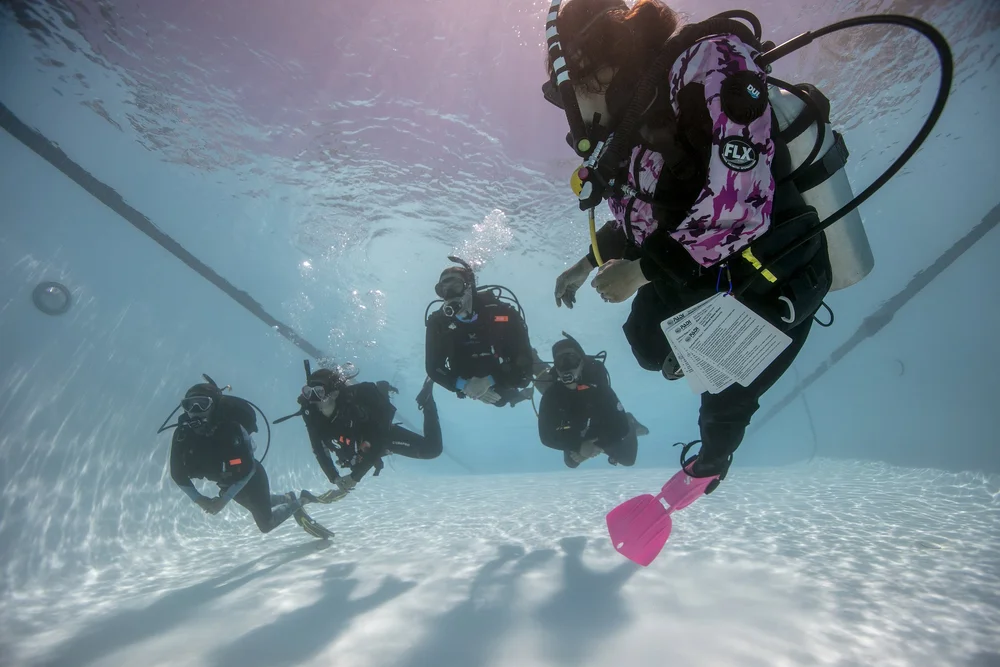 The Dive Company