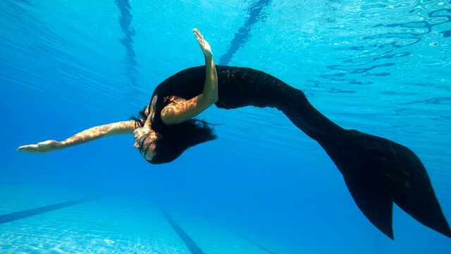 dsa-mermaid-course-2022
